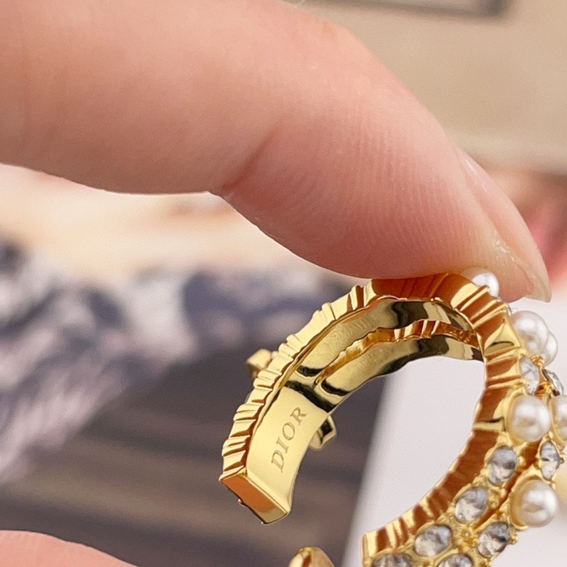 chr1st1an D10r earrings